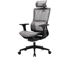 SIHOO Silla de Oficina, Silla ergonómica, Silla de Escritorio con Respaldo Alto, Silla giratoria de Malla, Reposabrazos Ajustable en 3D, Soporte Lumbar elástico único(Gris)
