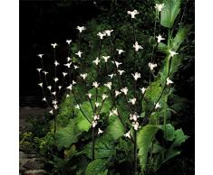Jardín al aire libre césped 60 LED luces de la flor de la hoja del árbol de la rama accionado solar (3pcs Luz natural flores)
