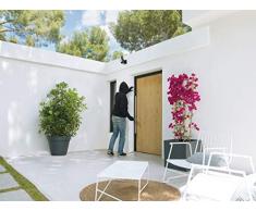 Netatmo Cámara de Vigilancia WIFI Exterior, Foco integrado, Detección de Movimientos, Visión Nocturna, Sin Costo Adicional, NOC01-EU (Presence)