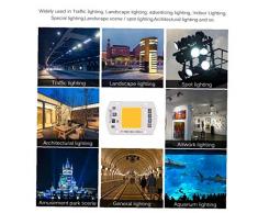 Angoter Bombilla LED de luz de inundación 20W Proyector de Alta Potencia COB LED de la lámpara Chip110 / 220V IC sin Conductor el diodo LED COB