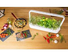 Emsa 3 Cápsulas Tomate Click & Grow, Semillas apta para Smart Garden, huerto urbano, tierra inteligente, jardín hidropónico, resultados en 40 días, Sistema automático iluminación LED
