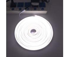 XUNATA 12V Flexible Neon Blanco frio, 5m Impermeable 2835 Tira de LED Strip Light, Luz de la Cuerda para Exterior Fiestas Decoración Party Sign Publicidad Firmar