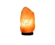 Lampara Mediana de Sal del Himalaya (2-3 kg)