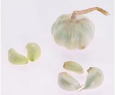 Westmark 30002260 Extracta - Pinza para nueces con prensador de ajos