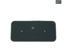 HOOVER - Filtro espuma secadora Otsein Hoover ODMH D1013