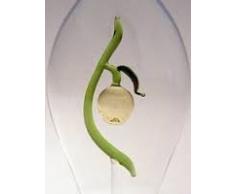 Jarra de cristal transparente, botella, garaffa, decantador de vidrio claro y soplado a boca con una manzana de cristal coloreado en el interior, rellenable, capacidad 0,5 litro y altura circa 30 cm, disenado y fabricado por la Oberstdorfer Glashütte