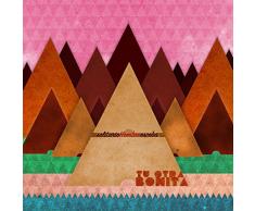 Solitario hombre escoba