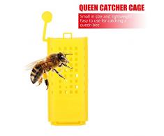 TOPINCN 10 UNIDS Beekeeping Crianza Copa Kit De Plástico Abeja Reina Jaulas Rodillo Transporte Caja Colector Apicultor Equipo de Apicultura Herramienta