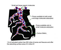 FFL-201 FilterLogic DeoTech - Desodorante para frigorífico, purificador de aire, neutralizador de olor, absorbente y ambientador (elimina olores)