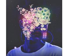 Última Garrafa [Explicit]