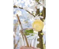 Pandoo Paquete de 12 pajitas 100% de bambú, incluido cepillo de limpieza - pajitas de beber reutilizables y ecológicas - 100% biodegradable