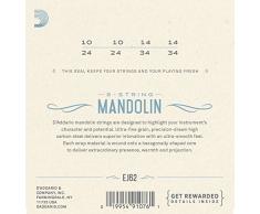 D'Addario EJ62 80/20 10-34 cuerdas luz mandolina bronce