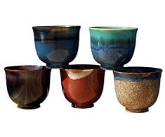Vasos de té japoneses de cerámica, 5 unidades, multicolor
