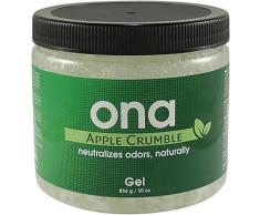 Elimina/Neutralizador de Olores - ONA Gel Apple Crumble Antiolor (1L)