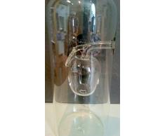 Jarra de cristal claro con una manzana de cristal claro en el interior, botella, decantador, garaffa de vidrio transparente y soplado a boca, rellenable, capacidad 0,5 litro y altura aprox. 28 cm, disenado y fabricado por Oberstdorfer Glashütte