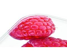 Beurer KS19 - Balanza de cocina, 5 kg/1 gr, botón táctil, diseño de frambuesa s