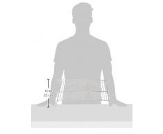 Wenko Escurreplatos DÃºo Escurridor, Metal Cromado, Plata Brillante, 25x47x27 cm