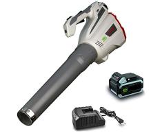 Ikra 74003006 - Soplador de hojas con batería IAB 40-25, incluye batería de 40 V y cargador, botón turbo máx. 320 km/h, 40 V, gris/rojo