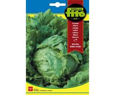 Semillas Fitó 207 - Semillas de Lechuga Batavia Verde Utebo
