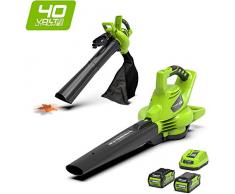 Greenworks Aspiradora de Batería y Soplador de Hojas 2-in-1 GD40BVK2X (Li-Ion 40 V 185 km/h Velocidad 45l Saco Recolector y Regulación de Velocidad Motor Incluye 2 Baterías 2Ah y 1 Cargador)