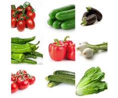 Semillas Huerto, Lote de 9 sobres de semillas de hortalizas para huerto