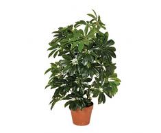 Planta artificial cheflera 65 cm altura, Catral 74010004