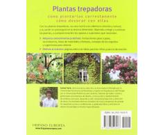 Plantas trepadoras (Jardín en casa)