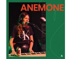 Anemone on Audiotree Live