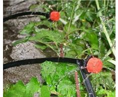Star Ssto - Sistema de riego por goteo, 25 m, sistema de cultivo autónomo, conjunto para jardín, mangueras de jardín, goteo automático, sistema de agua de invernadero