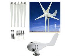 BTdahong - Generador de turbina de viento horizontal de 400 W y 24 V, color blanco, kit de 5 cuchillas para control de carga de bajo ruido