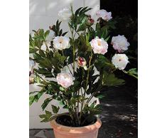 Ramo de peonías artificial con 9 flores, 6 brotes, blanco-rosa, 120 cm - Mata decorativa / Flores sintéticas - artplants