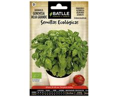 Semillas Ecológicas Aromáticas - Albahaca Gigante Genovese - ECO - Batlle