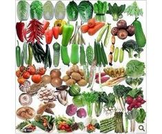 semillas de hortalizas orgánicas calientes verduras paquete de balcón mezcla de semillas 50seed