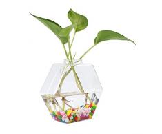 Planta Colgante de Pared Terrario de plantación de Agua Jarrón de Vidrio Jardinera Contenedores Macetas de Flores para la decoración del hogar Decoraciones de Pared(Pattern 4)