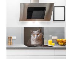 Encimera tabla de gato | gigante | cristal protector de pantalla | splash-back | 60 cm x 52 cm grande Universal encimera para cocinas de inducción eléctrica vitrocerámica halógena | cristal endurecido multiusos panel | estufa