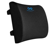 Everlasting Comfort - Cojín lumbar 100% de espuma viscoelástica pura, diseño ortopédico para aliviar el lumbago, cojín de apoyo lumbar con 2 correas ajustables para coche o silla de oficina