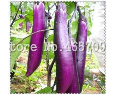 Semillas de hortalizas de berenjena frescas genéricas 100pcs para plantar púrpura