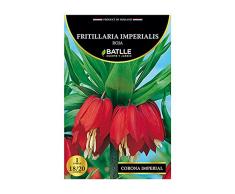 Bulbos - Fritillaria Imperialis roja - Batlle