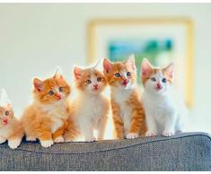 MALIYANT Rompecabezas De 1000 Piezas Rompecabezas De Gran Tamaño para Adultos Rompecabezas De Madera Gatito Sofá Gato