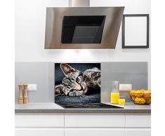 Encimera tabla de gato | gigante | cristal protector de pantalla | splash-back | 60 cm x 52 cm grande Universal encimera para cocinas de inducción eléctrica vitrocerámica halógena | cristal endurecido multiusos panel | estufa