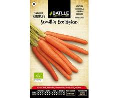 Semillas ecológicas de Zanahoria nantesa 5