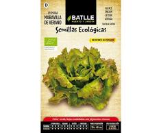 Semillas ecológicas de Lechuga maravilla de verano