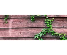 wandmotiv24 Pared Trasera de Cocina Pared con Planta trepadora 160 x 60 cm (W x H) - 3 mm de Espuma Protector de Salpicaduras de la Pared Posterior del nicho Reemplazo del Espejo del azulejo M1004