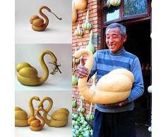 Soteer Seed House - 10 Piezas Raras ornamentales de calabaza de cuello de cisne semillas Semillas de hortalizas Cuello de cisne calabaza resistente perenne