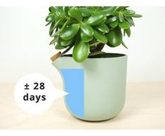 Auto Riego Equilibrio Natural - Naturel Balance - ceramica jardin interior de-coracion casa durable regadera naturales originales jarrones hogar plantas para de-corativos florero flores macetas