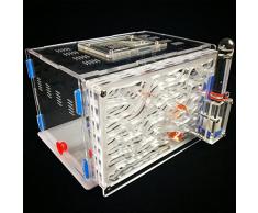 ROUND YUAN - Dispositivo de Clase de tecnología para niños, Juguetes de Estudio de biolgy, hormigón, Nido, ryc1, Zona de alimentación, Hormiga, Granja, acrílico, Insectos, Taller, Bricolaje, Montaje