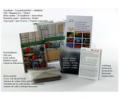 SAFLAX - Set regalo - Pimiento sweet chocolate - 10 semillas - Capsicum annum