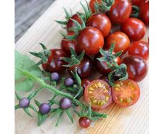 ADOLENB Seed House - 50/100 unidades Semillas de tomates cherry carne semillas de tomate hortalizas semillas de frutas de alto rendimiento perennes resistentes para jardín balcón/terraza