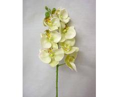 ARTIFICIAL FLOR ORQUIDEA PHALAENOPSIS CREMA VERDE