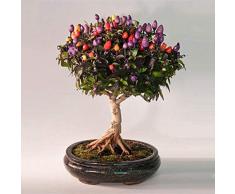 KINGDUO Egrow 100Pcs/Pack Pepper Seeds Hot Chilli Pepper Capsicum Vegetable Bonsai Plantas Jardín-Vistoso